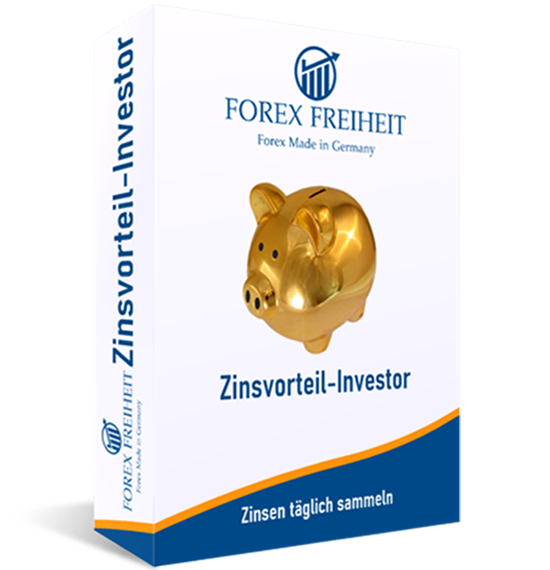 Zinsvorteil-Investor