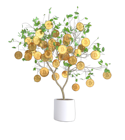Bitcoinbaum freigestellt