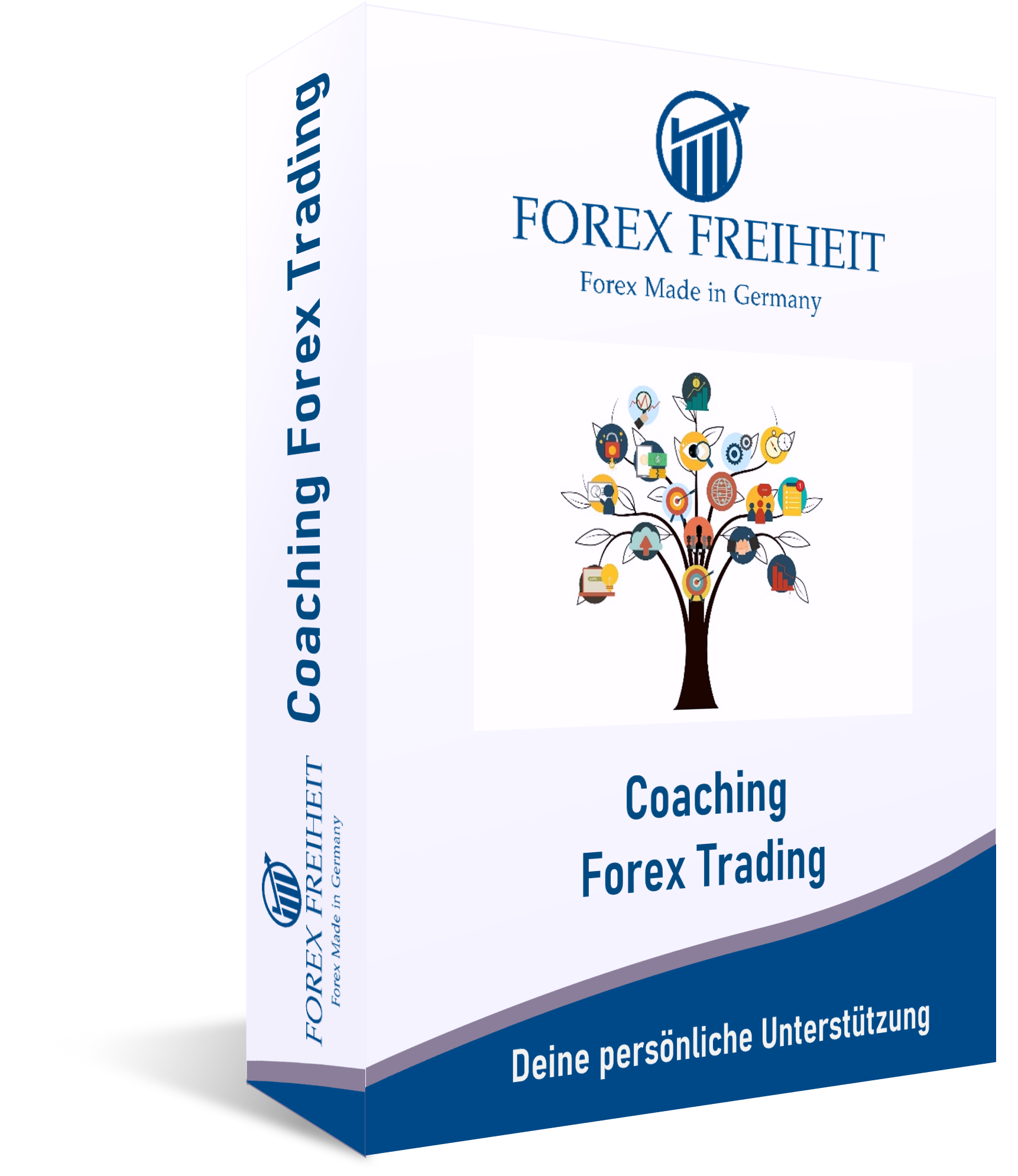 Box Coaching Forex Trading